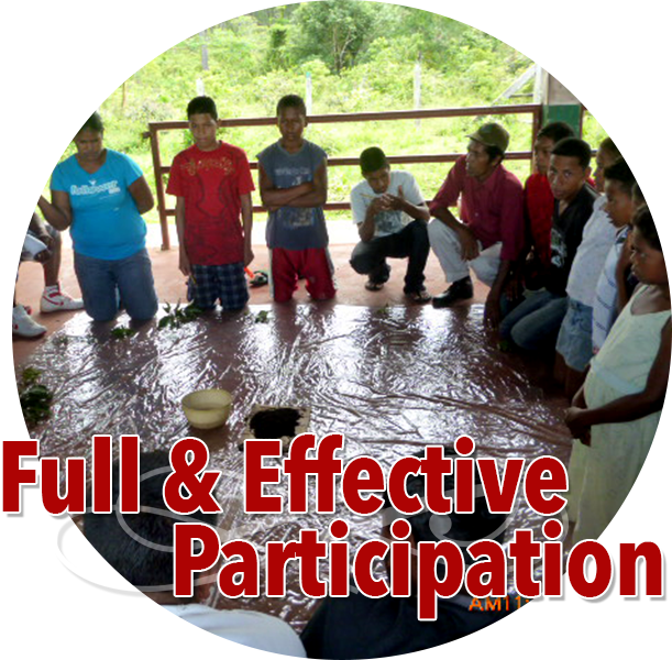 full and effective participation