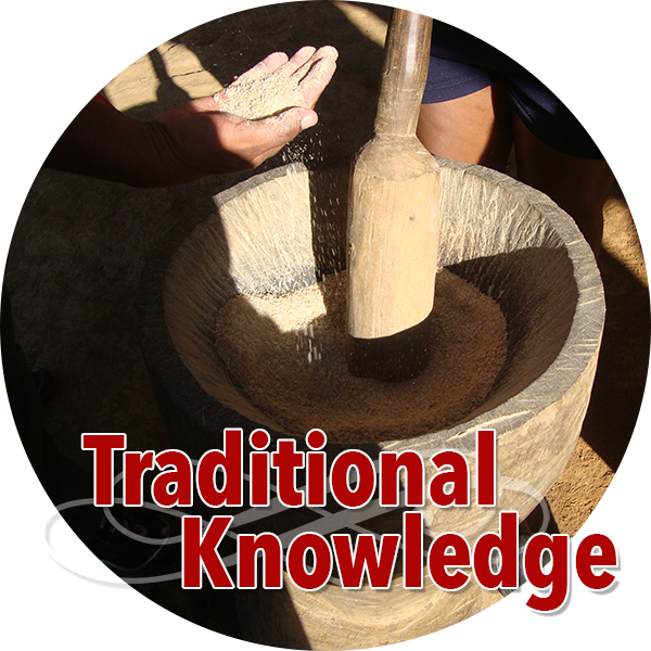 traditional knowledge